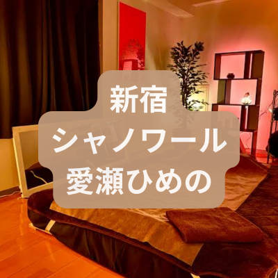 新宿のメンズエステ愛瀬ひめのさんの体験記事のアイキャッチ画像
