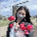 記事のサムネイル